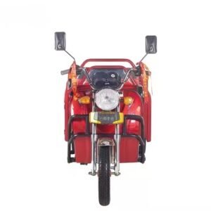 Electric Freight Trike