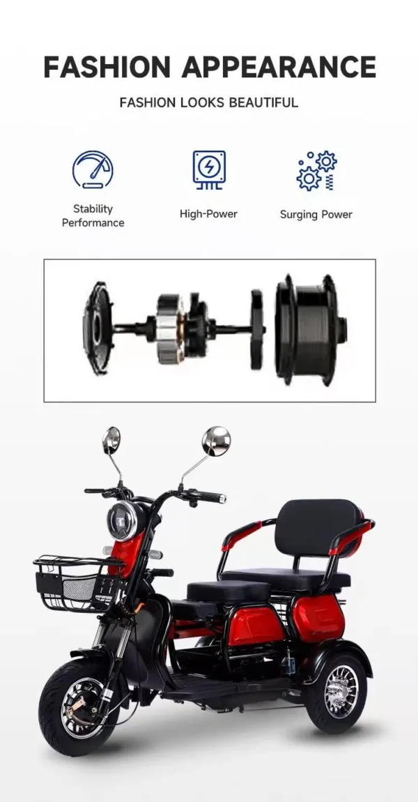 leisure electric trike