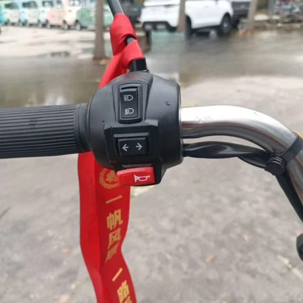 electric delivery trike