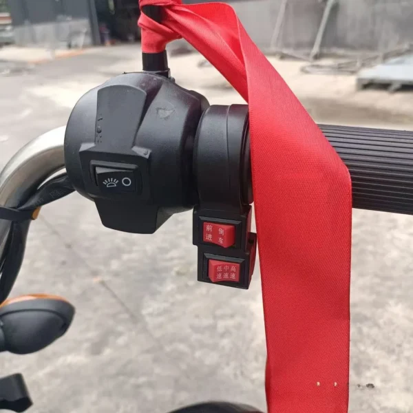 electric delivery trike