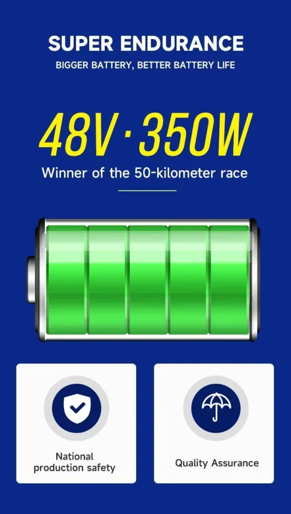 leisure electric trike