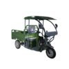 Cargo Electric Trike