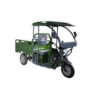 Cargo Electric Trike