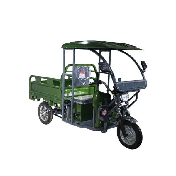 Cargo Electric Trike