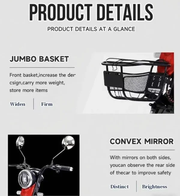 leisure electric trike