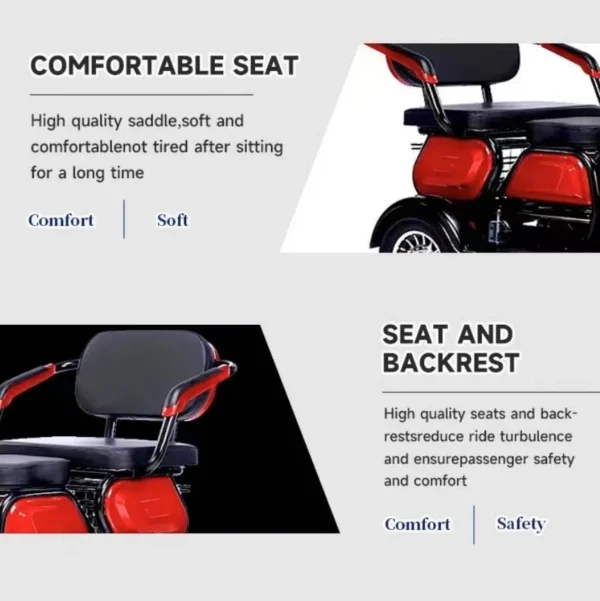 leisure electric trike