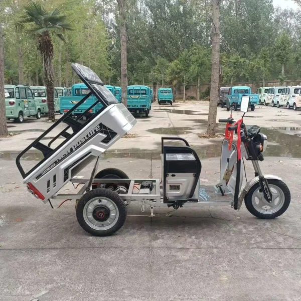 electric delivery trike